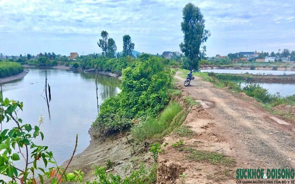 Đê sông xuống cấp, người dân thấp thỏm trước mùa mưa lũ - Ảnh 3.