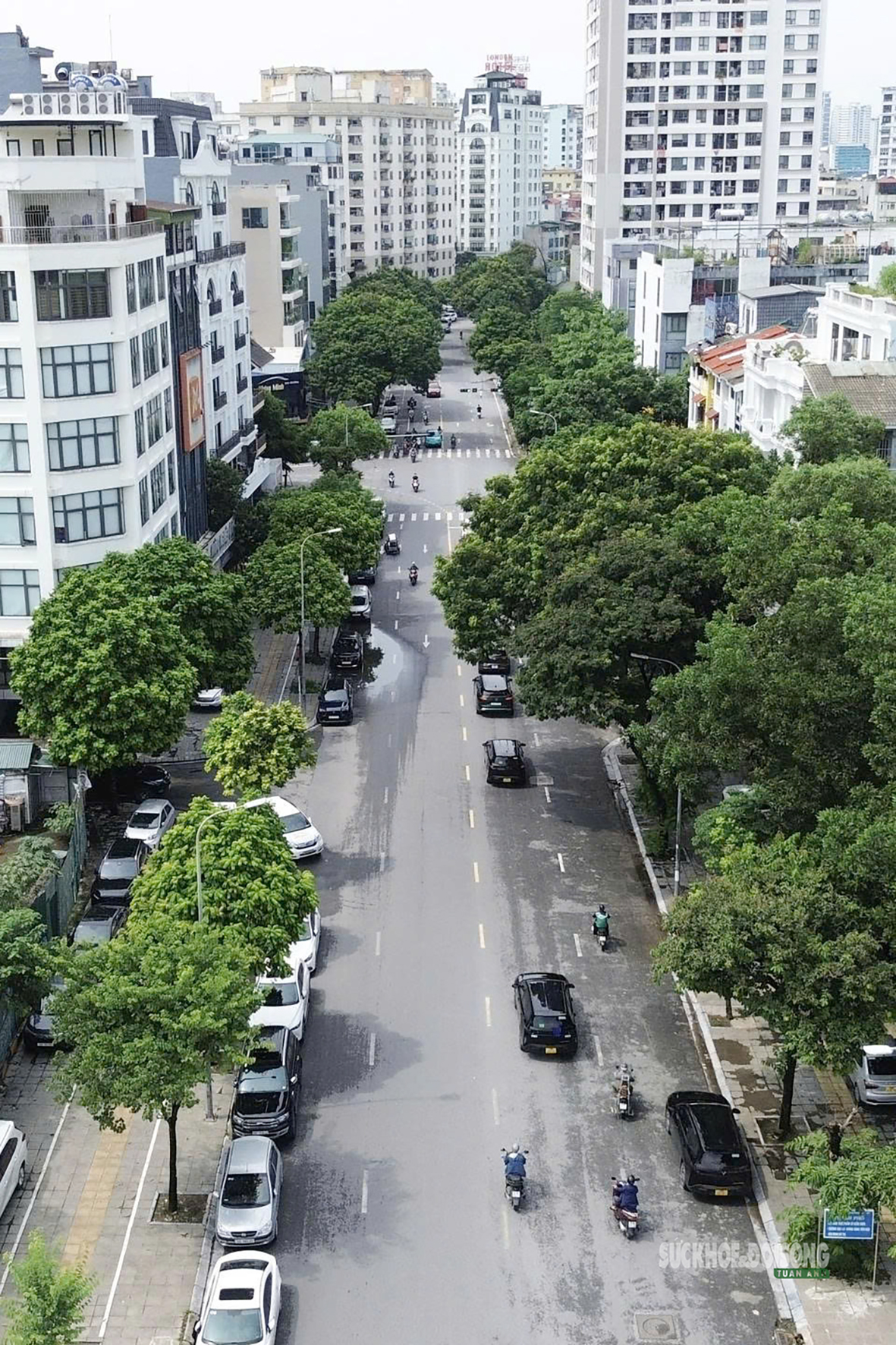 Phố Thành Thái và Khúc Thừa Dụ: Thí điểm không gian văn hóa phố đi bộ thông minh 2026 - Ảnh 3.