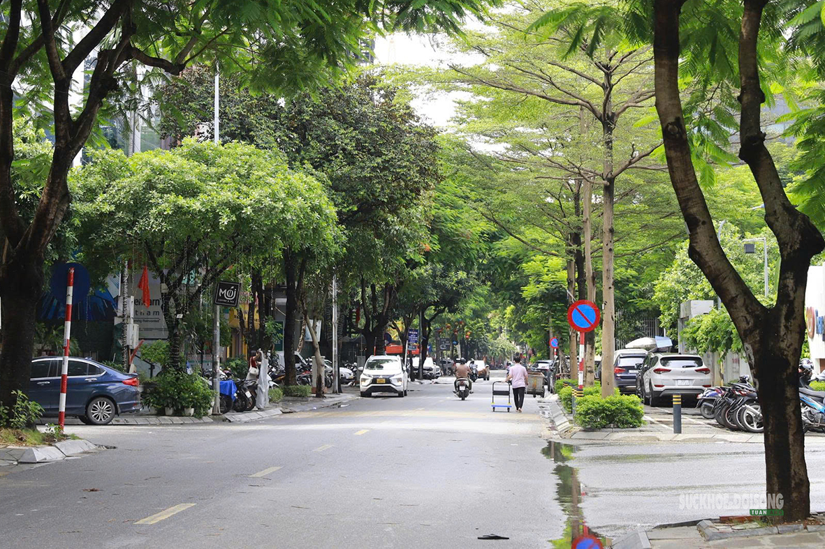 Phố Thành Thái và Khúc Thừa Dụ: Thí điểm không gian văn hóa phố đi bộ thông minh 2026 - Ảnh 4.
