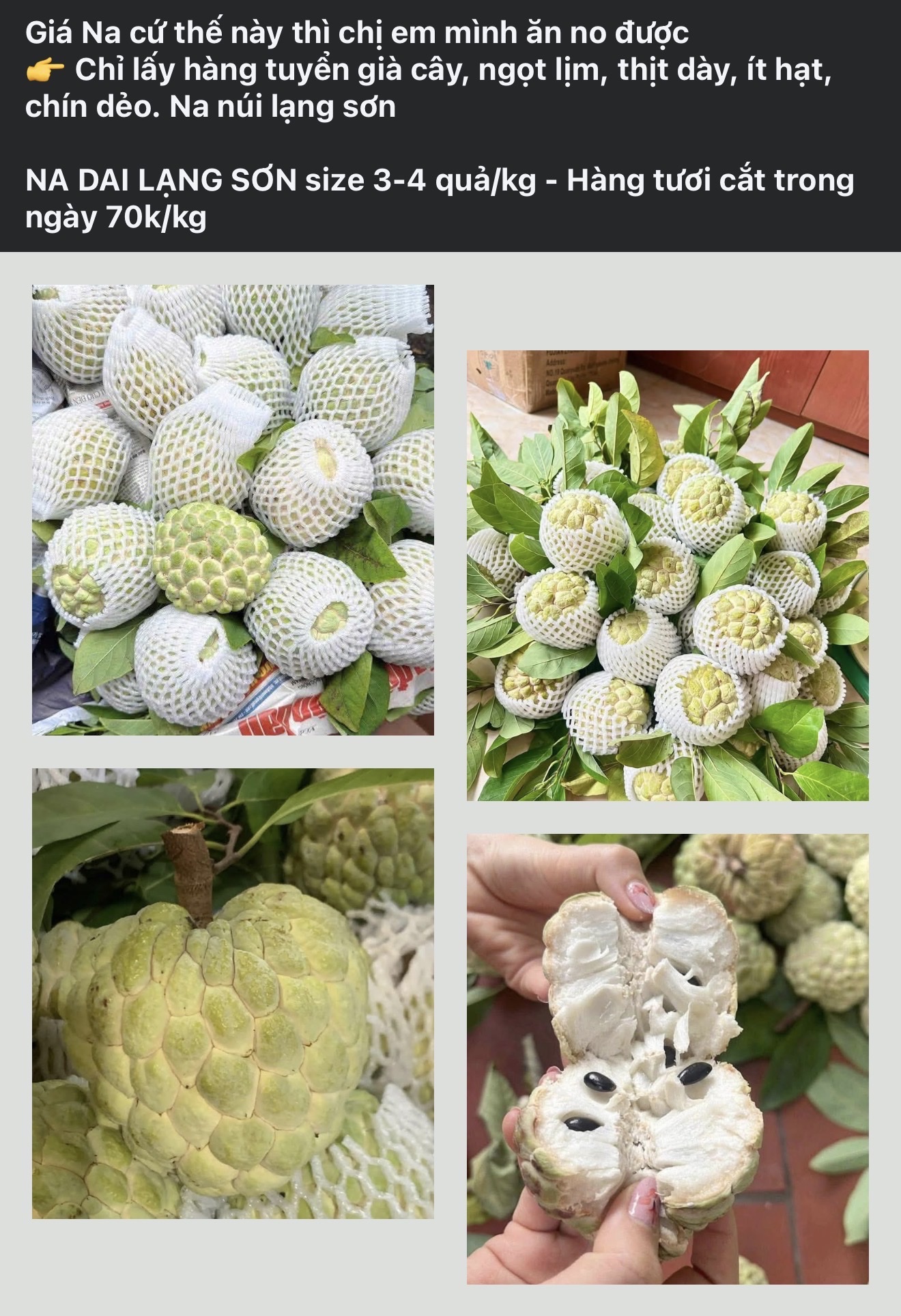 Loại na đặc sản mọc trên núi đá có gì đặc biệt mà được nhiều người tiêu dùng tìm mua đến vậy?- Ảnh 2.