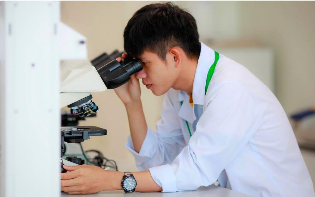 Điểm Chuẩn Các Trường Y Dược Năm 2026: Tìm Hiểu Chi Tiết Từng Ngành