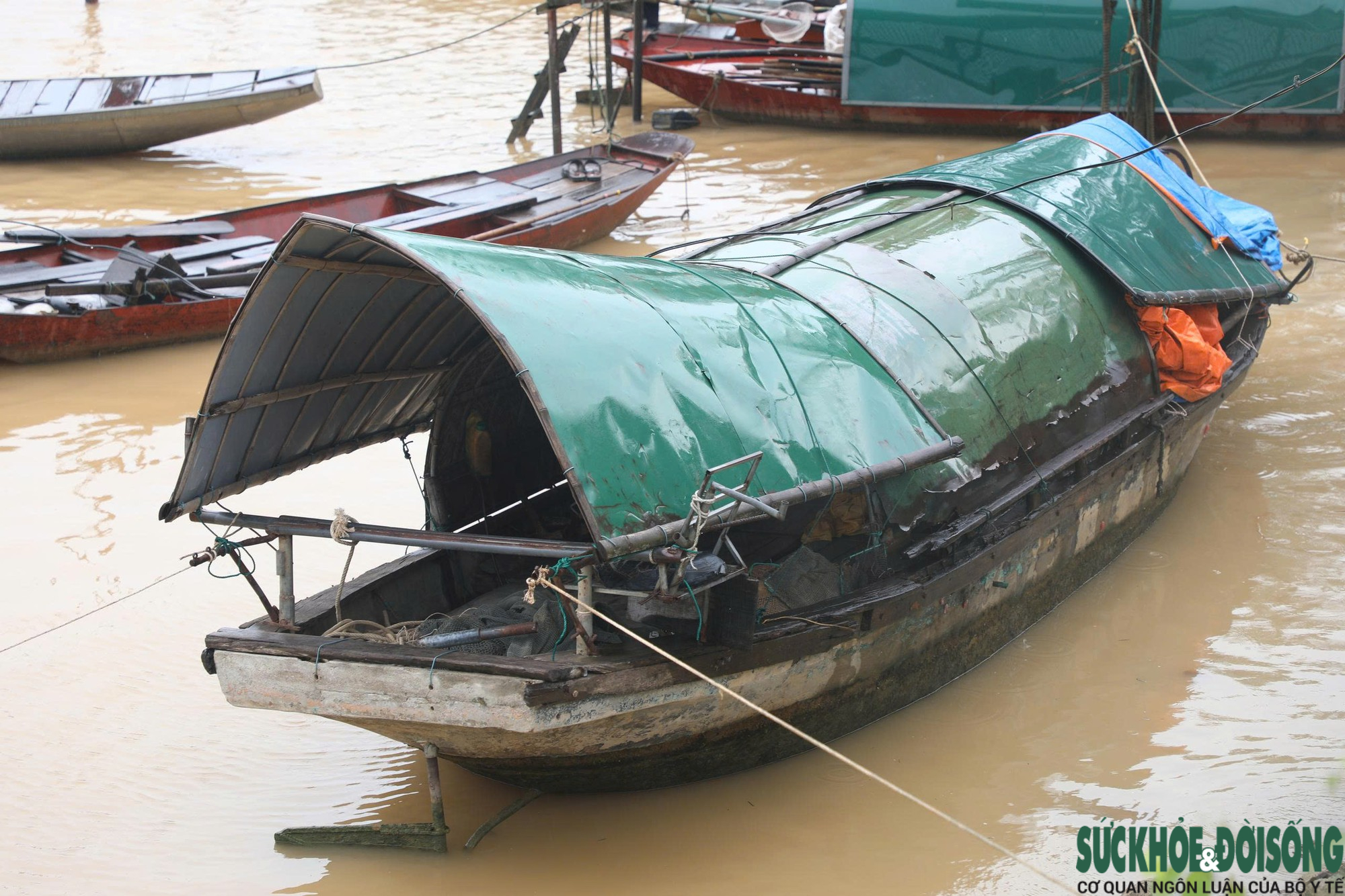 Đất tái định cư bỏ trống, dân vạn chài cần đất lại không được vào- Ảnh 3.
