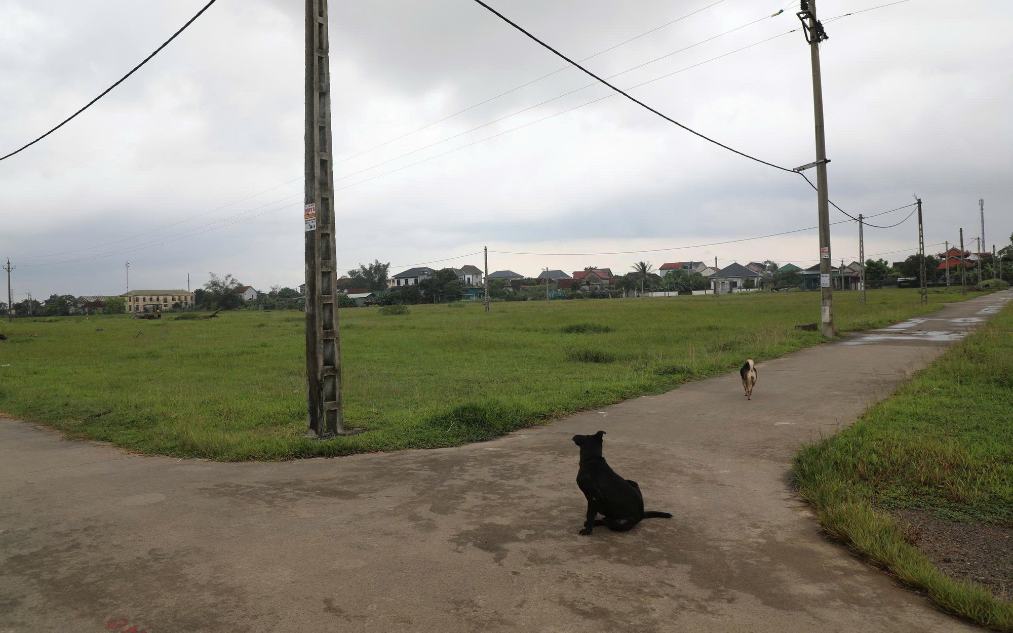 Hơn mười năm chờ tái định cư, người dân ven sông Lam thấp thỏm chạy lũ- Ảnh 5.