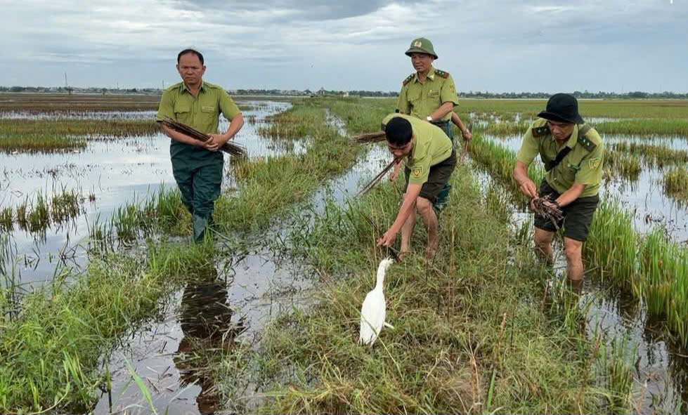Quảng cáo bán động vật rừng, chủ quán nhậu ở Huế bị phạt- Ảnh 2.