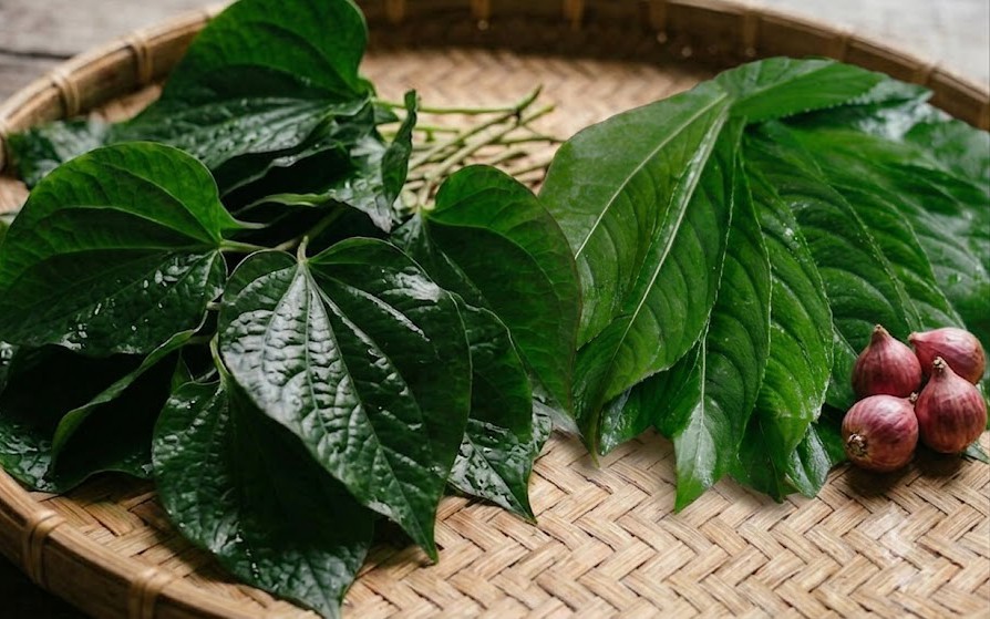 3 lợi ích bất ngờ của lá xương sông nhờ tinh dầu đặc biệt - Ảnh 1.