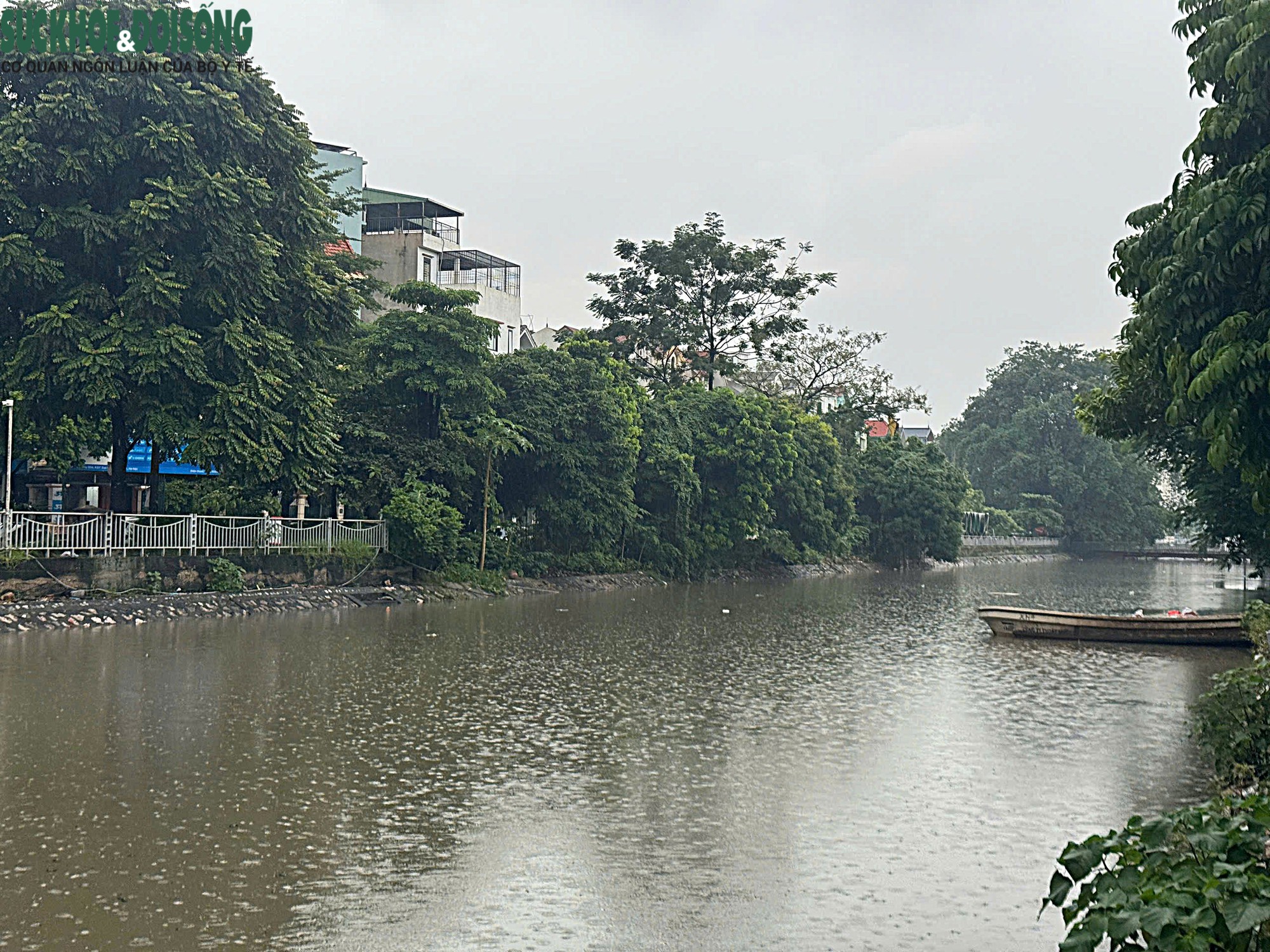 Mưa kéo dài, mực nước nhiều sông ở Hà Nội dâng cao - Ảnh 1.