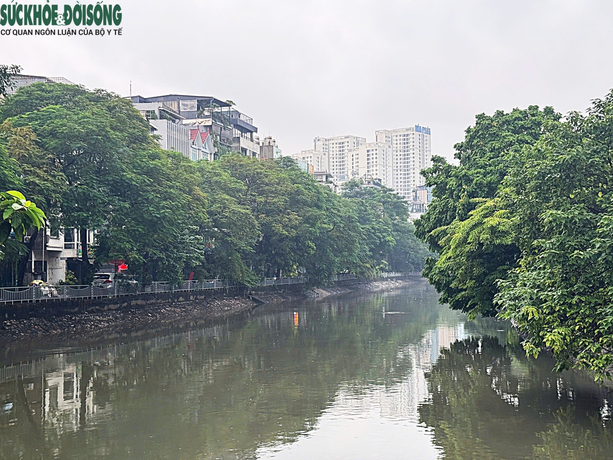 Mưa kéo dài, mực nước nhiều sông ở Hà Nội dâng cao - Ảnh 3.