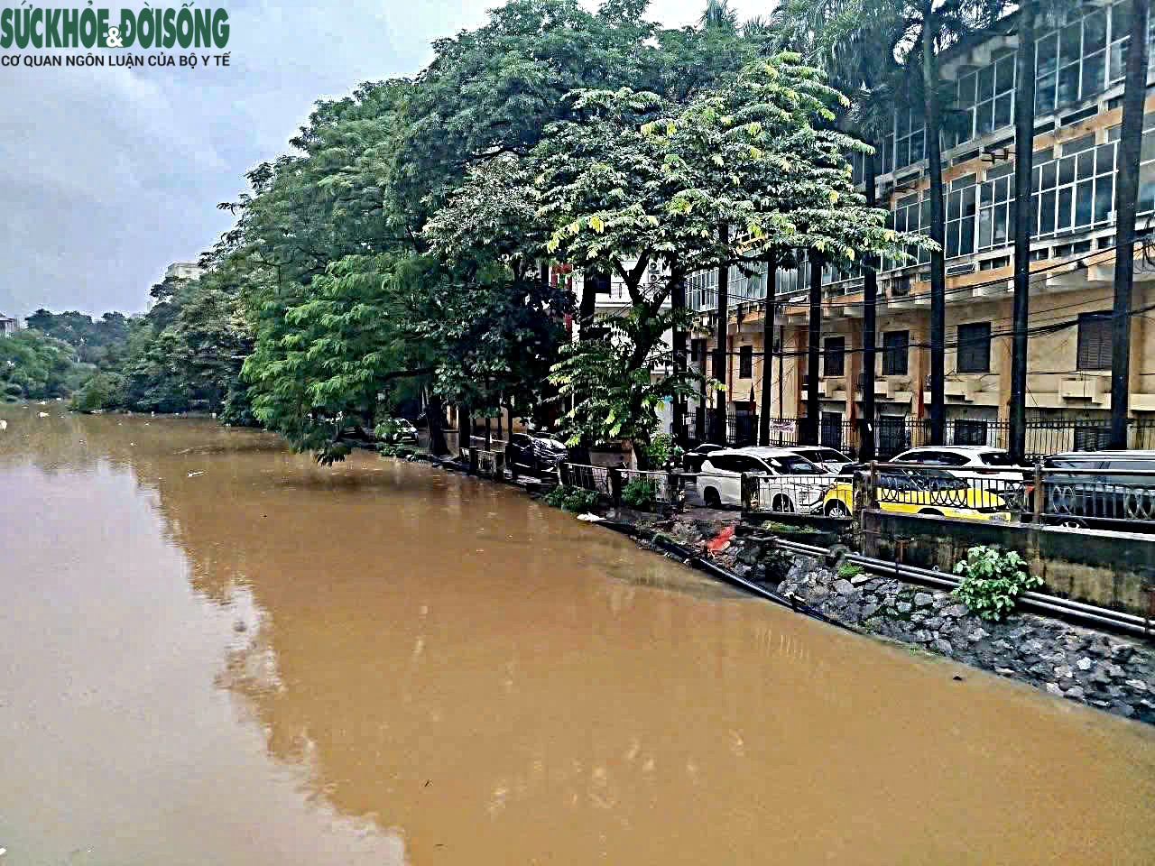 Mưa kéo dài, mực nước nhiều sông ở Hà Nội dâng cao - Ảnh 6.