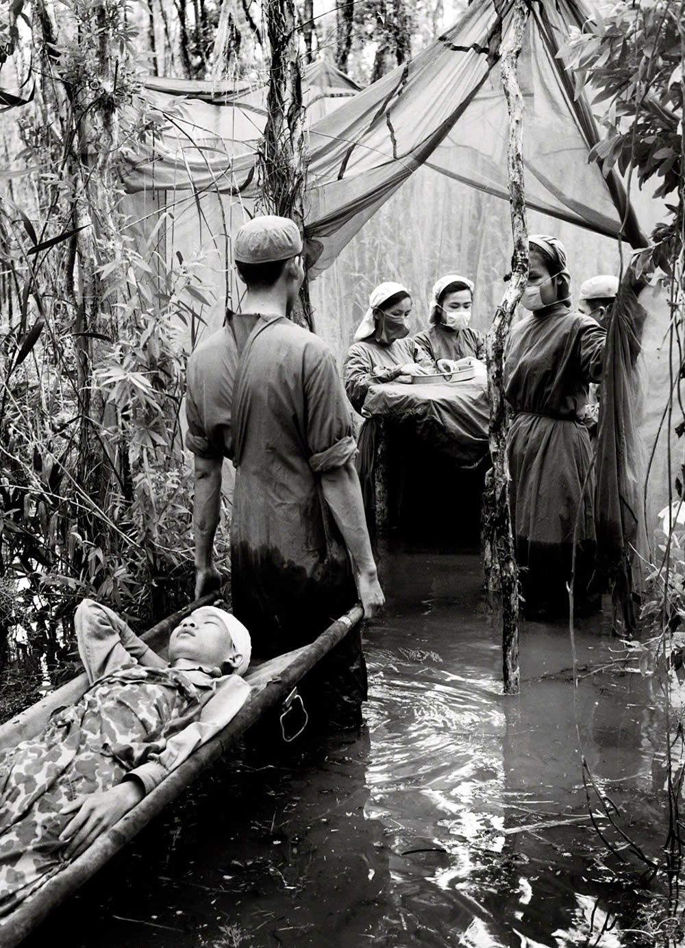 Gallery - Giữ mạch sống giữa rừng xanh