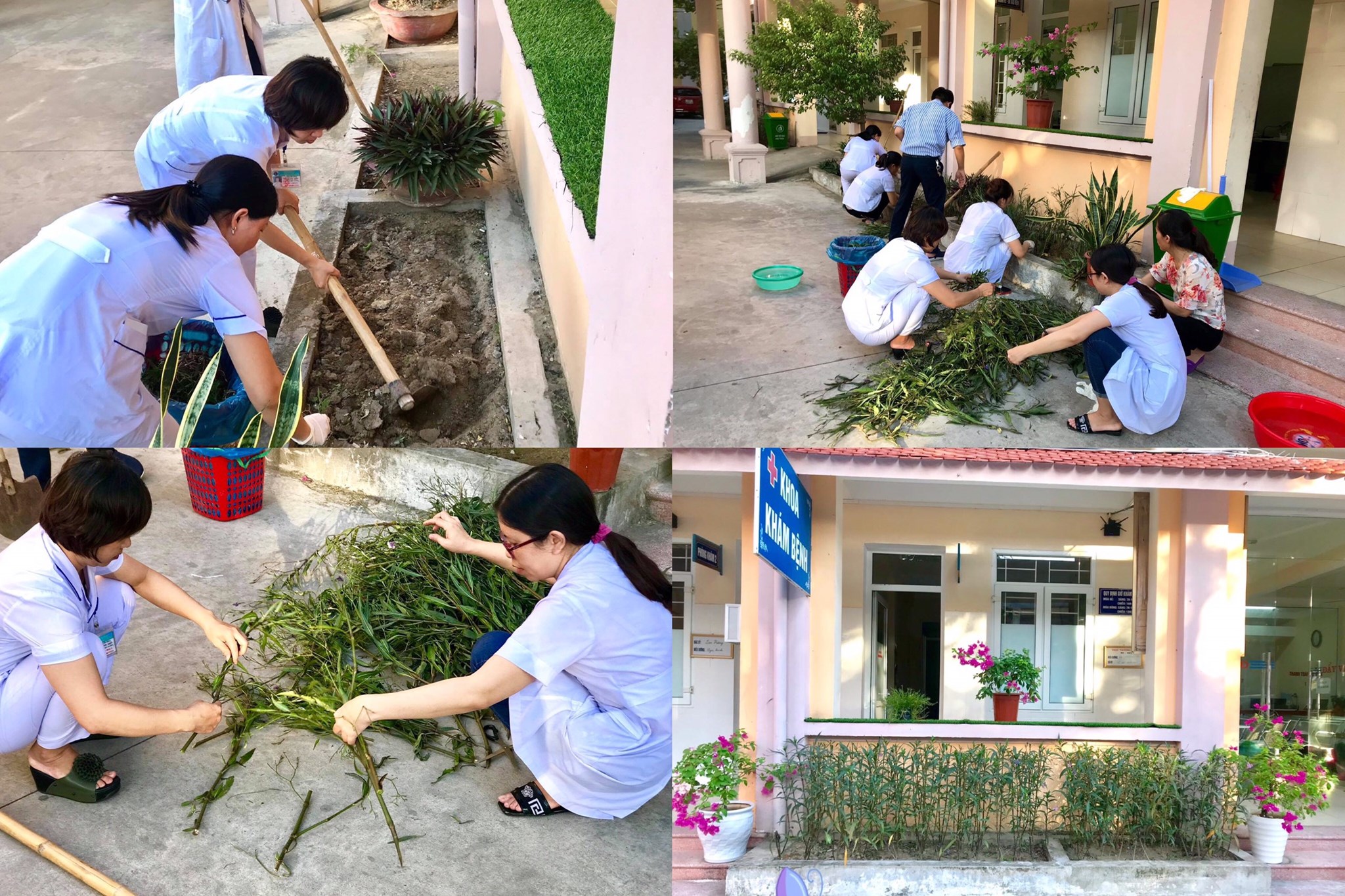 Cơ sở y tế Xanh - Sạch - Đẹp: Từ phong trào đến văn hóa chăm sóc người bệnh- Ảnh 2.