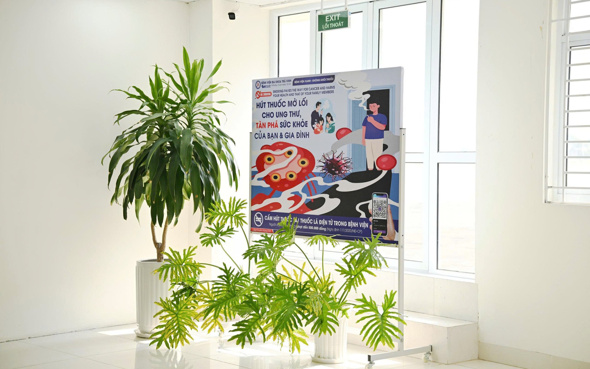 Xử lý chất thải, giảm phát thải để y tế để phát triển bền vững- Ảnh 3.