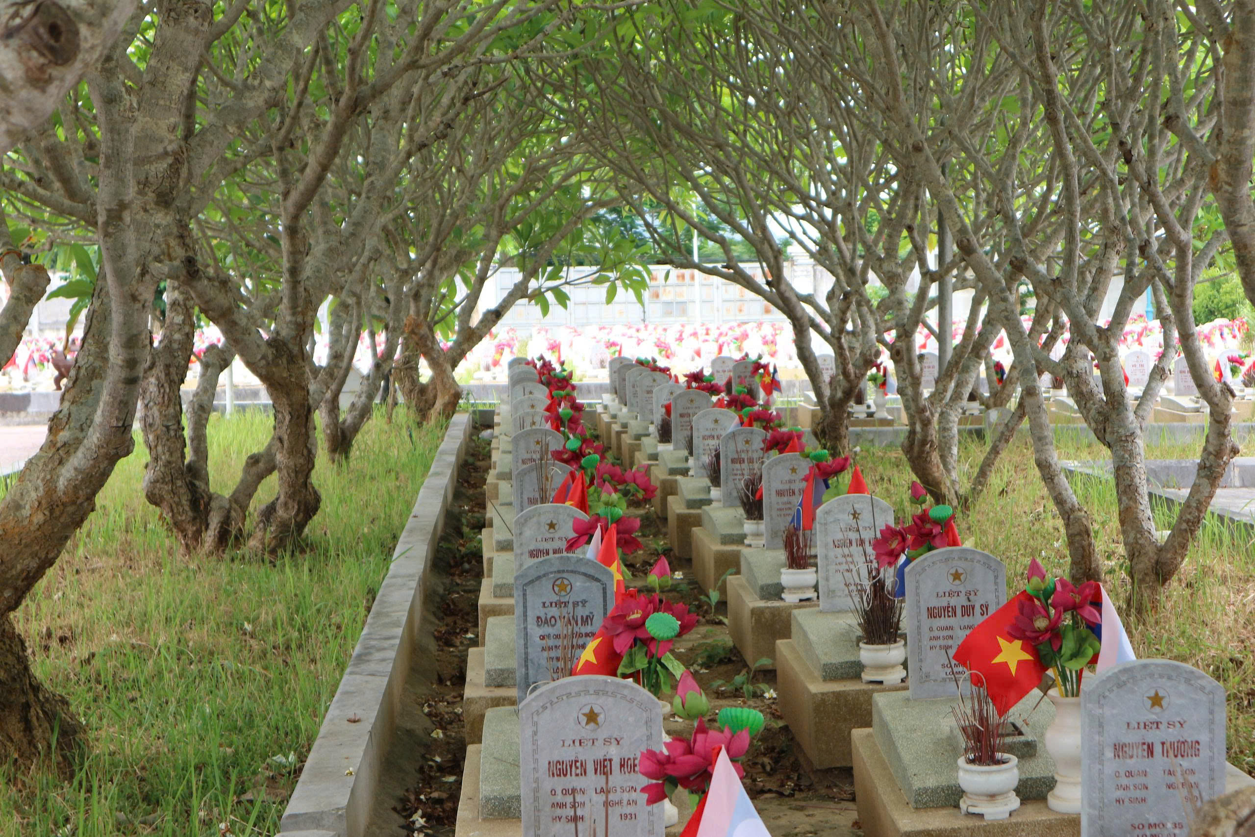 Người dân Nghệ An dỡ nhà, nhường đất mở rộng nghĩa trang liệt sĩ- Ảnh 7.