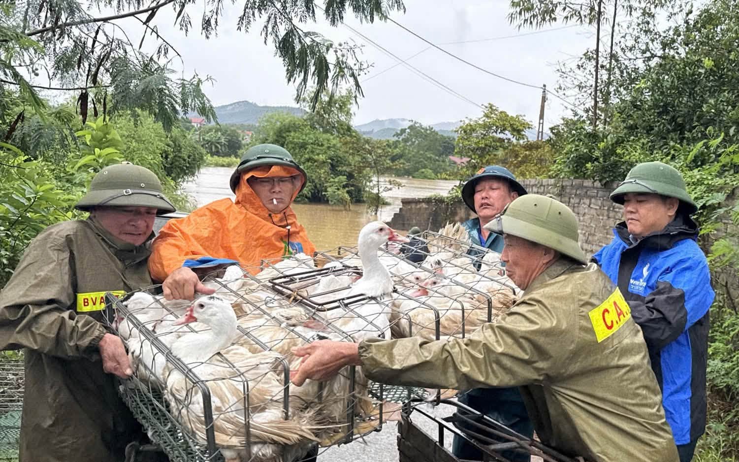 Miền Bắc chuẩn bị đón đợt gió mùa đầu mùa: những điều người dân cần biết