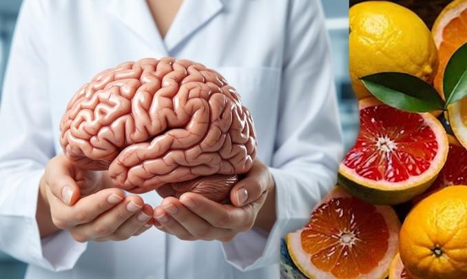 Dinh dưỡng đúng cách bảo vệ não bộ và cải thiện trí nhớ - Ảnh 2.