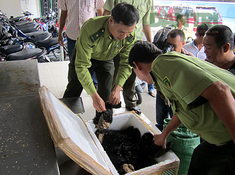 Phát hiện hổ con, gấu con đông lạnh trên xe khách 2