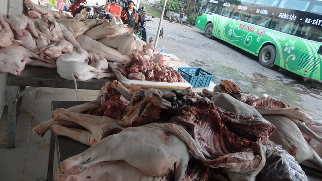 Phát hiện hai vụ vận chuyển thịt động vật trái phép 1