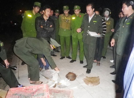 Hàng trăm con rắn "đi cùng" hành khách trên xe 2