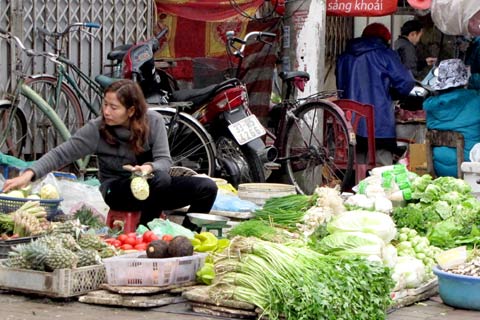 Rét kéo dài, rau xanh đắt gấp rưỡi 1 Rét kéo dài, rau xanh đắt gấp rưỡi 1