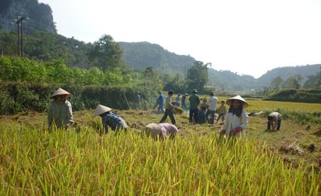 Hương xuân Cao Bằng 1