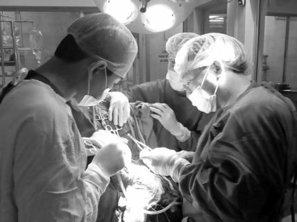 Câu trả lời thầm lặng mà cao cả nhất 1