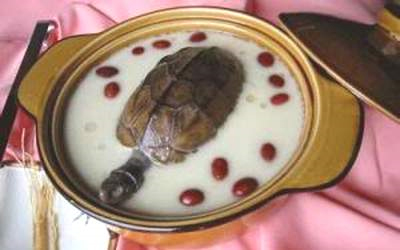 Món ăn từ rùa bổ thận âm 1