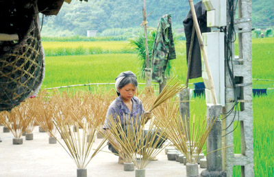 Hương xuân Cao Bằng 2 Hương xuân Cao Bằng 2