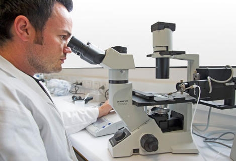 “Vaccin” cho… muỗi 2 “Vaccin” cho… muỗi 2