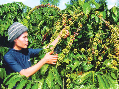 Khi ý Đảng hợp lòng dân 2 Khi ý Đảng hợp lòng dân 2