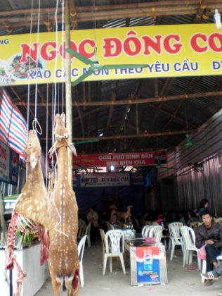 Hơn 10 vạn du khách đổ về chùa Hương trước ngày khai hội 2