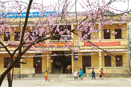 Sắc xuân trên cao nguyên đá 2