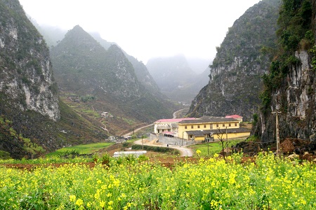 Sắc xuân trên cao nguyên đá 1
