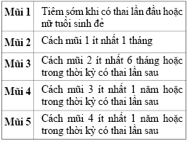 Lịch tiêm vắc-xin phòng uốn ván cho phụ nữ 1