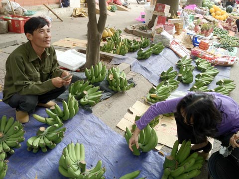 Tiền triệu mua quả lạ về trưng Tết 7
