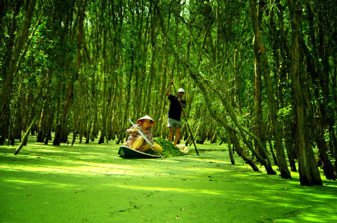 Lãng đãng miền Tây 1