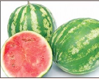 Người Trung Quốc “đầu độc” lẫn nhau 1