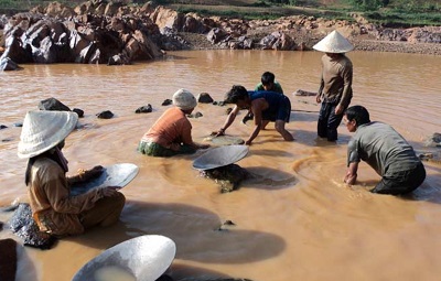 Phận phu vàng chốn rừng thẳm 1