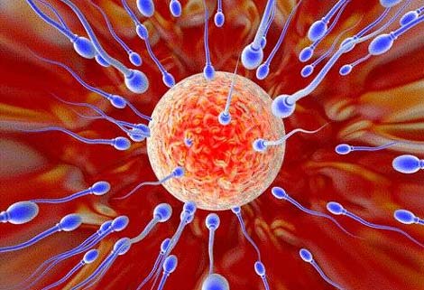 Phương pháp làm tăng khả năng có thai tự nhiên 2 Phương pháp làm tăng khả năng có thai tự nhiên 2