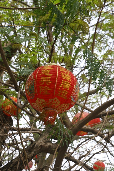Ðiều thấy ở Triển lãm Giảng Võ, Hà Nội 2