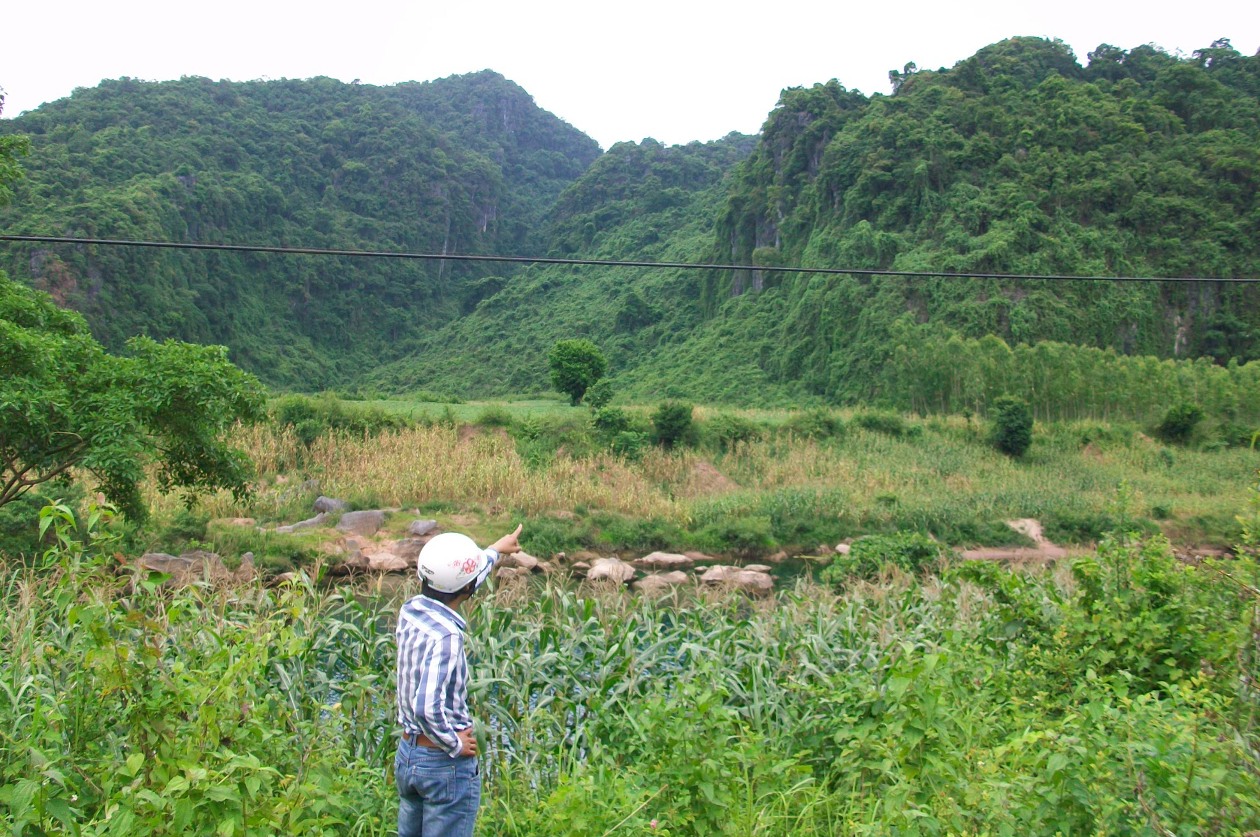 Vụ 3 cây sưa bị triệt hạ trong Di sản Phong Nha - Kẻ Bàng: 1