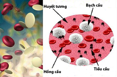 Kiểm soát chặt tác dụng phụ 1