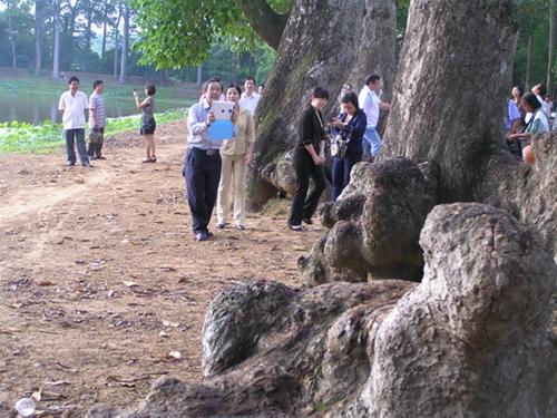 Trà Vinh - Kho báu du lịch bị lãng quên 2