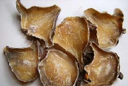 Những thuốc Ðông y không dùng khi có thai 1