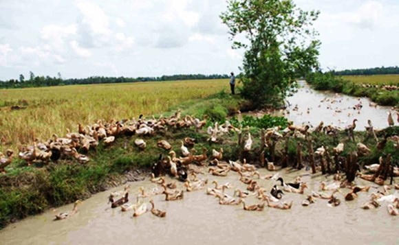 Phòng dịch đang bị đổ thêm dầu... 1 Phòng dịch đang bị đổ thêm dầu... 1
