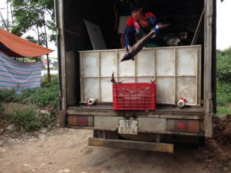 Báo động đỏ từ thủy hải sản nhập lậu 1
