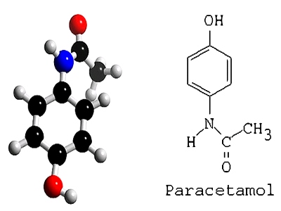 Paracetamol gây độc gan khi quá liều, vì sao? 1