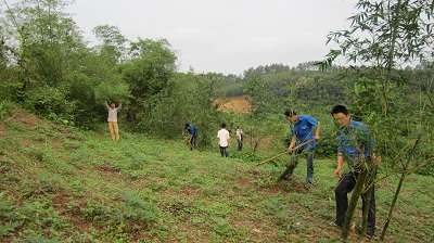 Những rặng tre miền biên viễn 3