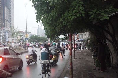 Vạch lá tìm... biển báo 1