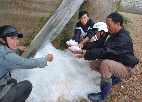 Mưa đá ở Đà Lạt 1