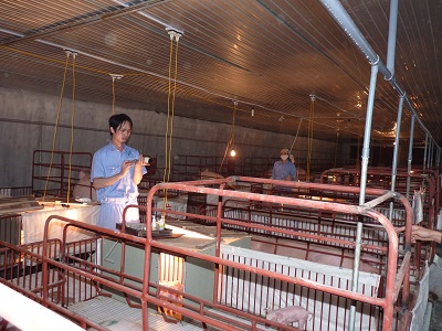Phận ông chủ làm thuê 1