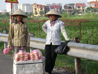 Nhễ nhại mưu sinh  3